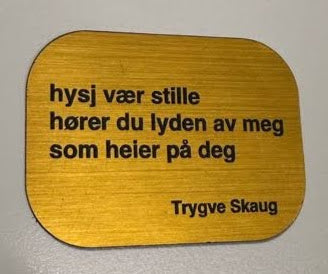 Kjøleskapsmagnet - Trygve Skaug