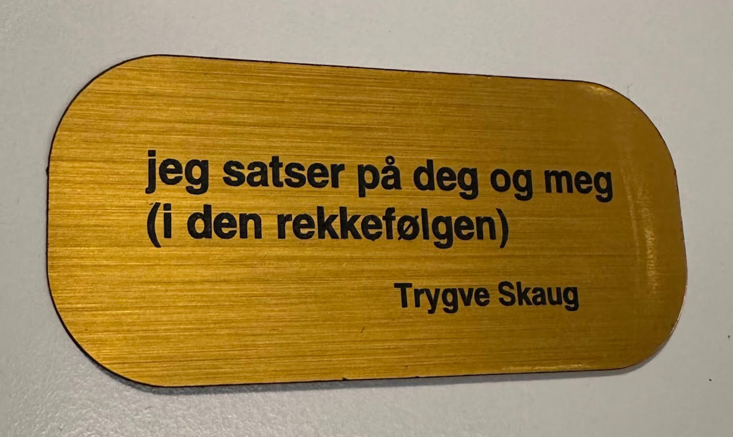Kjøleskapsmagnet - Trygve Skaug