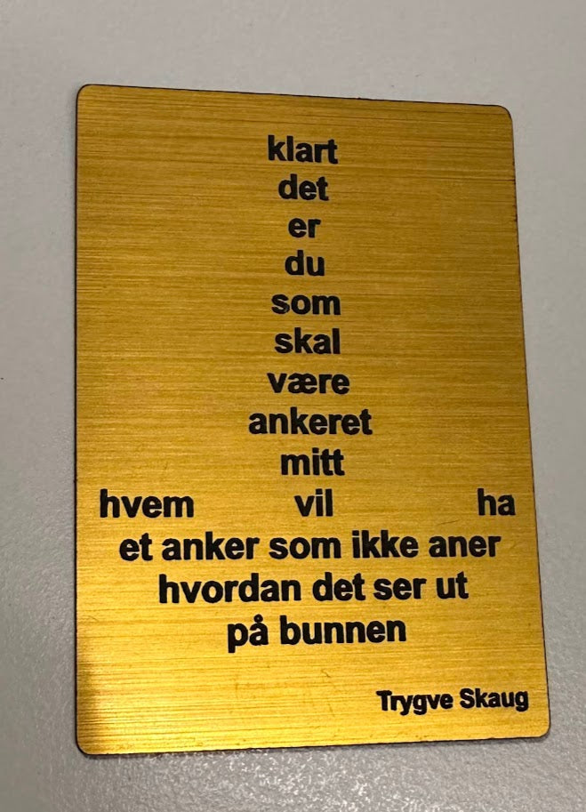 Kjøleskapsmagnet - Trygve Skaug