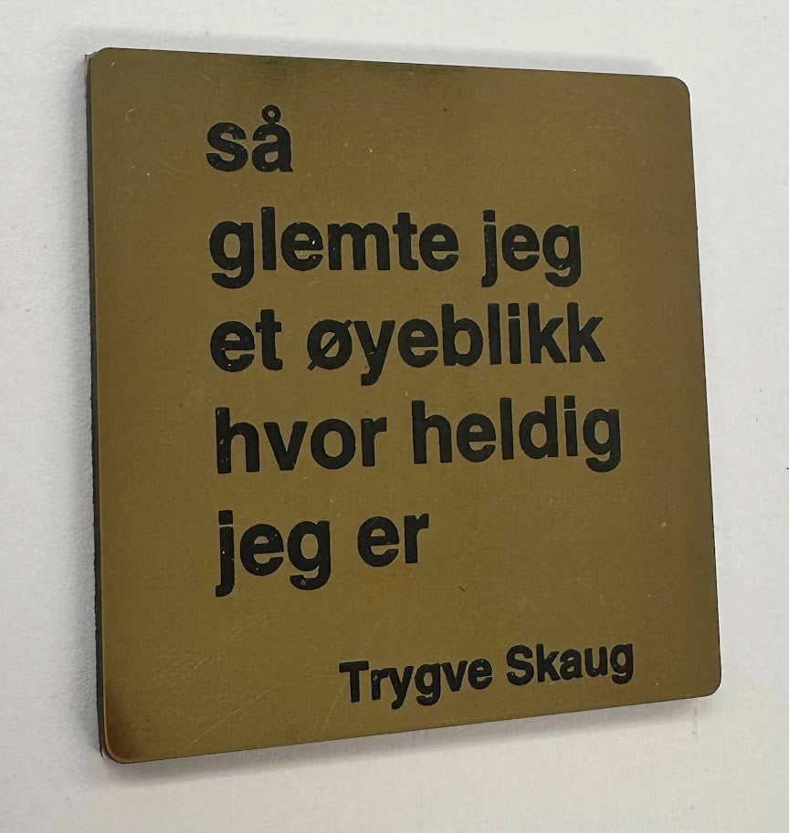 Kjøleskapsmagnet - Trygve Skaug