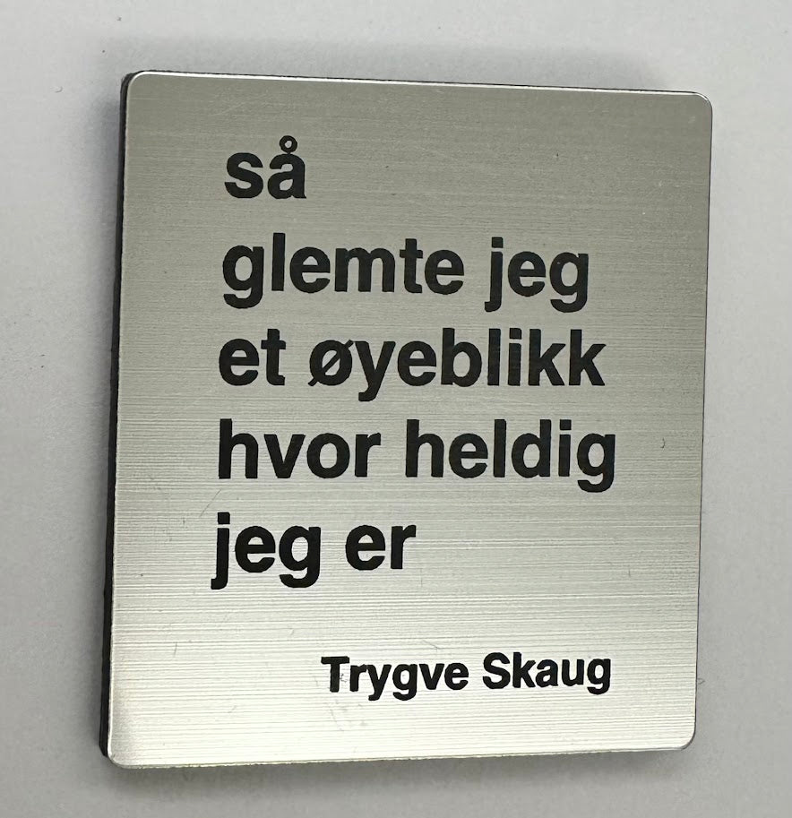 Kjøleskapsmagnet - Trygve Skaug