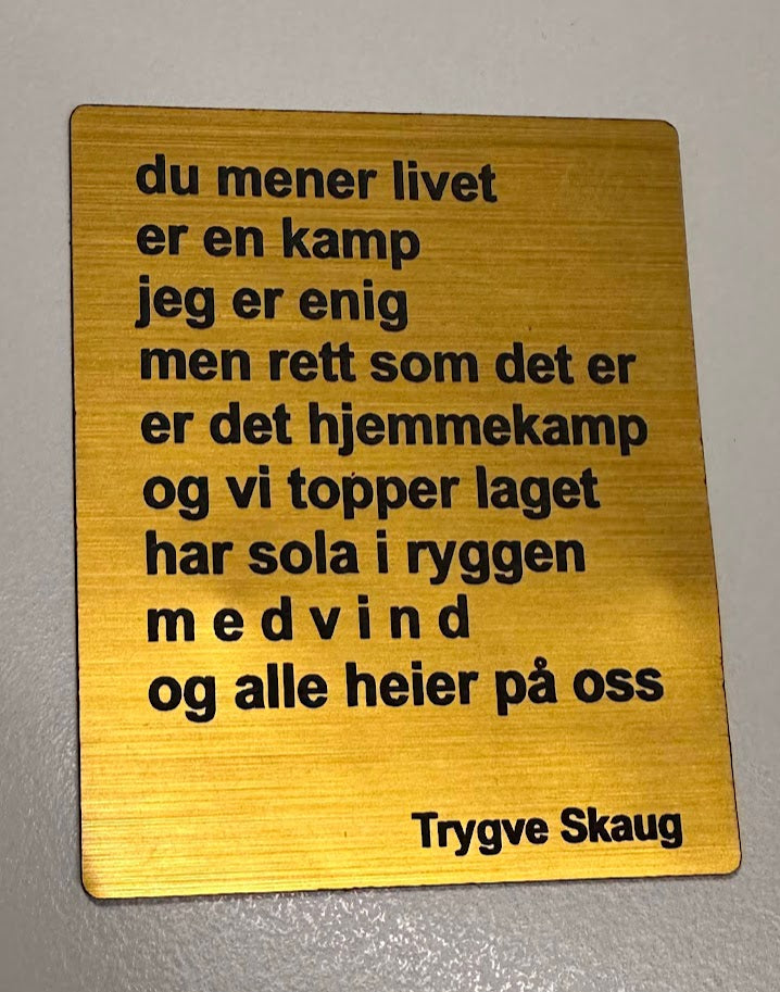 Kjøleskapsmagnet - Trygve Skaug