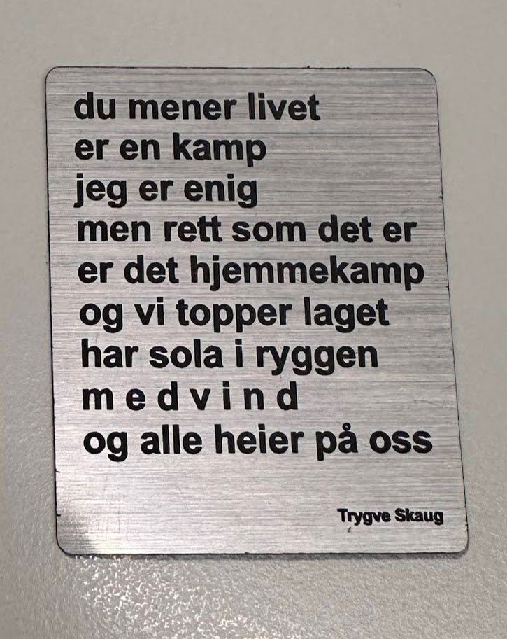Kjøleskapsmagnet - Trygve Skaug