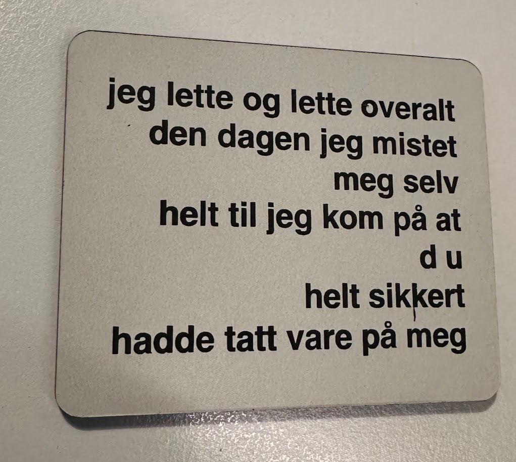 Kjøleskapsmagnet - Trygve Skaug