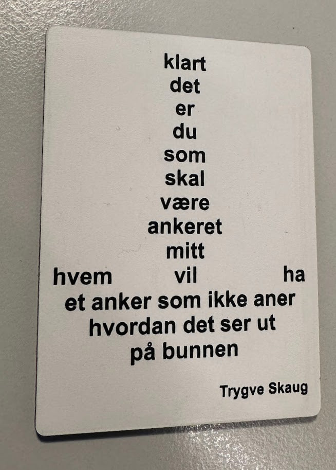 Kjøleskapsmagnet - Trygve Skaug